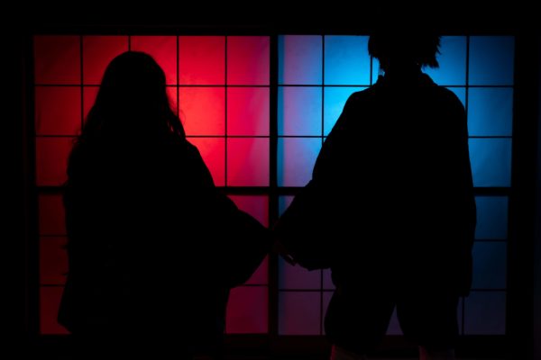 和室でカラーフィルター