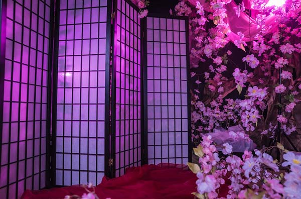 スタジオ コローレ 感想